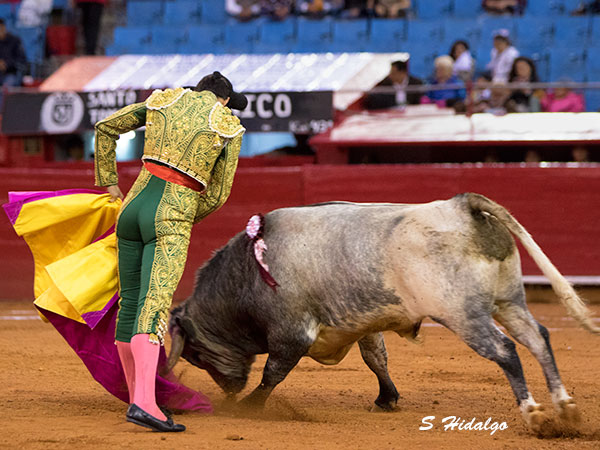 Dejando buen ambiente