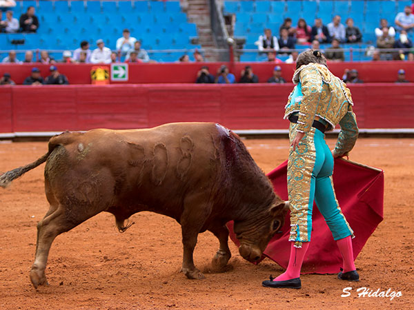 D�biles embestidas