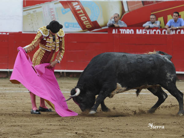 Pacheco, a la ver�nica