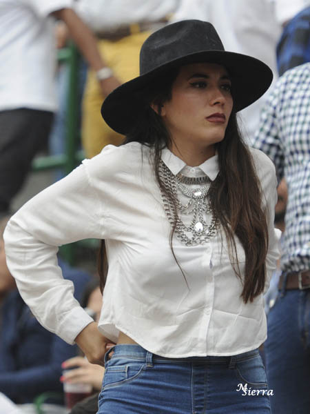 Torsales en plater�a