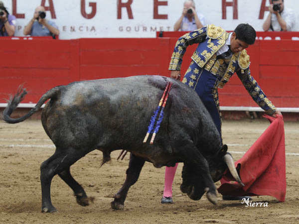 Mucho gusto por hacerlo bien