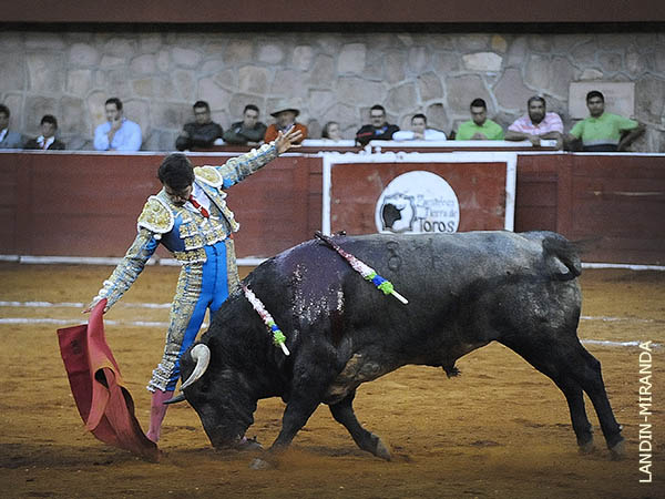 Claridad de ideas y entrega