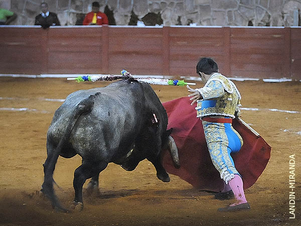 Noble, con poca fuerza