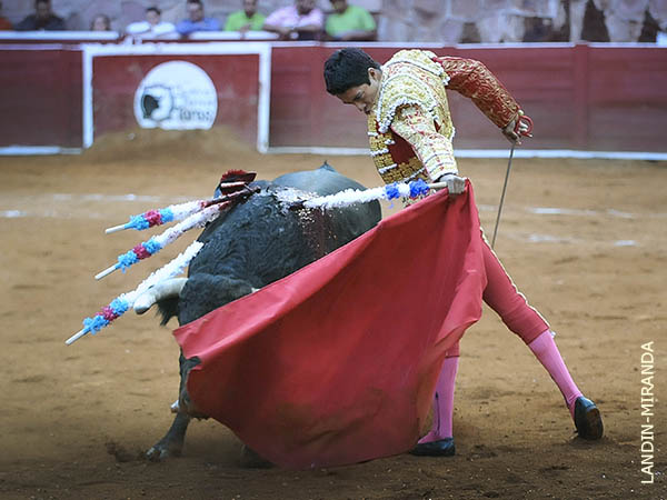 Expresi�nes de artista