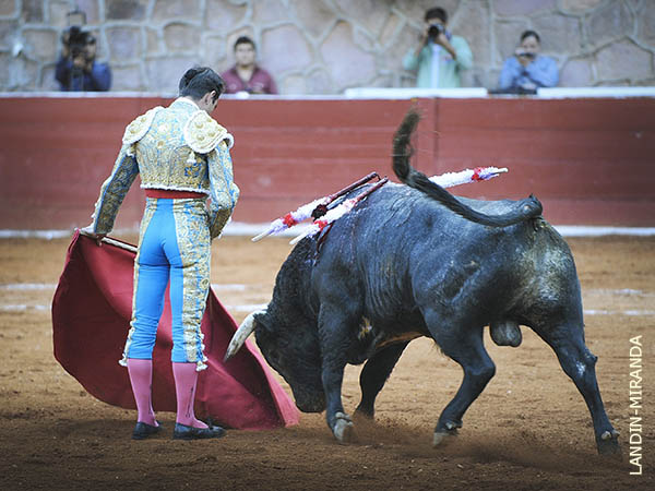 Reposo en los ayudados