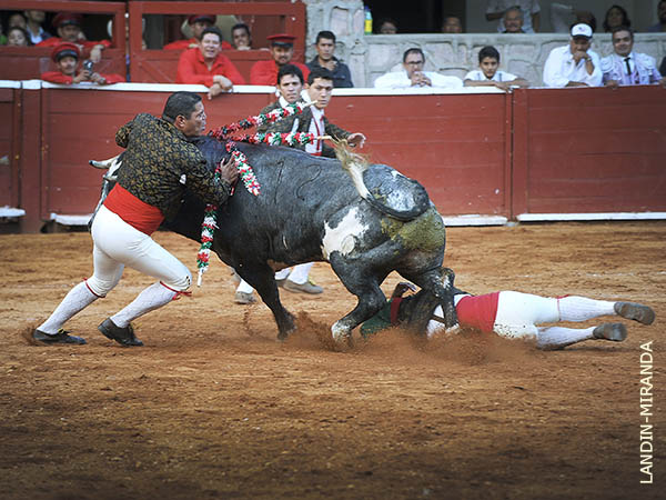 Con fuerza y arrollando