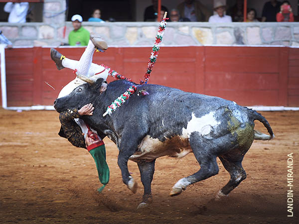 Fabi�n, mazatleco zacatecano