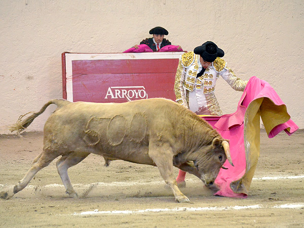 Sabroa vernica de Ferrer