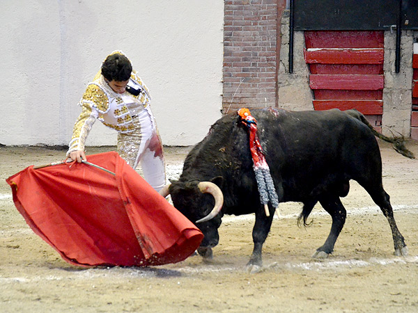 El pulso de Hctor Gabriel