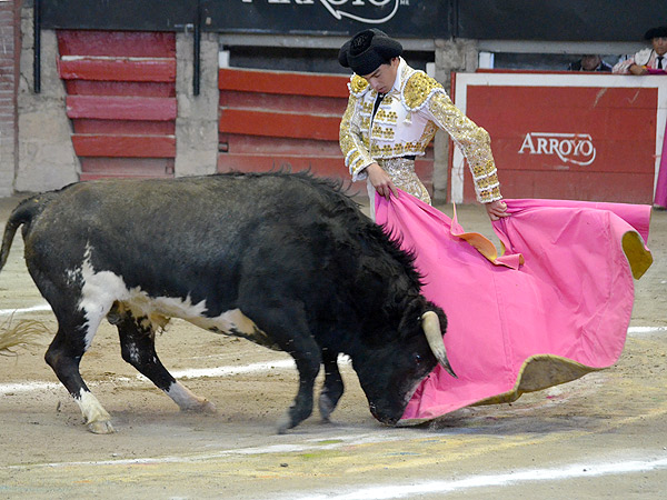 Gabriel, dibujando la media
