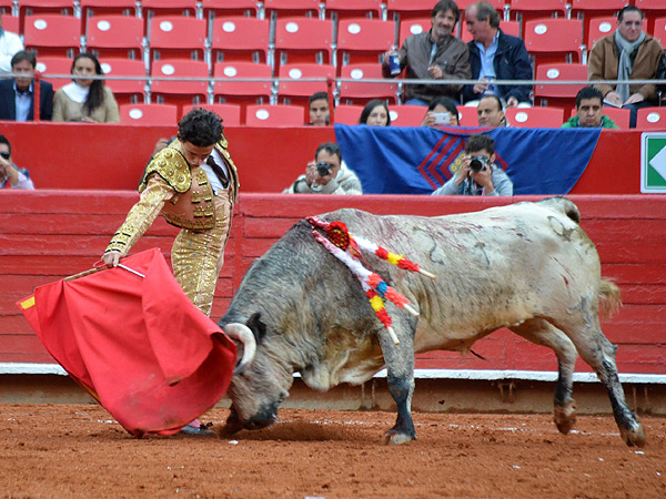 Un novillo pastue�o
