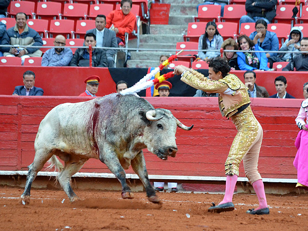 El Galo en banderillas