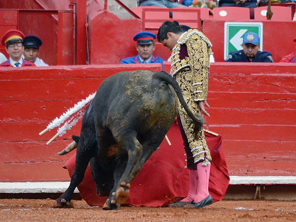 Pastor debut� bien