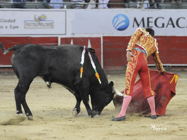 Pasi�n e inteligencia