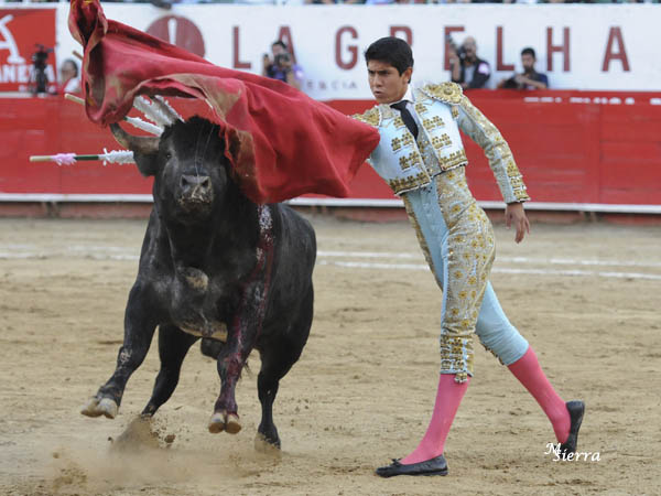 Le porfi�, y le porfi�...