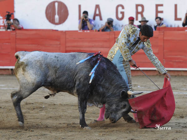 Le cuaj� un par de series