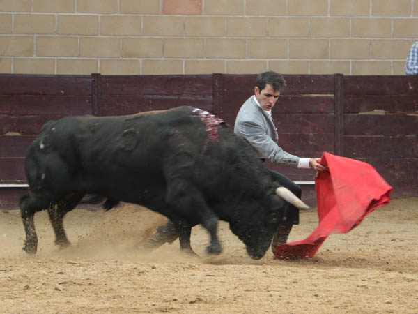 Suavidad por lo bajo