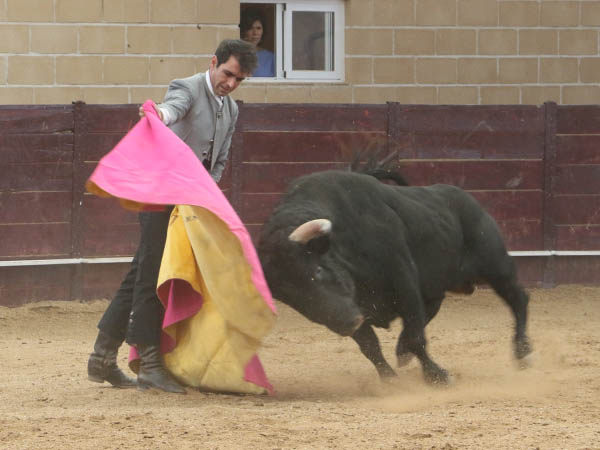 Mete�rica embestida