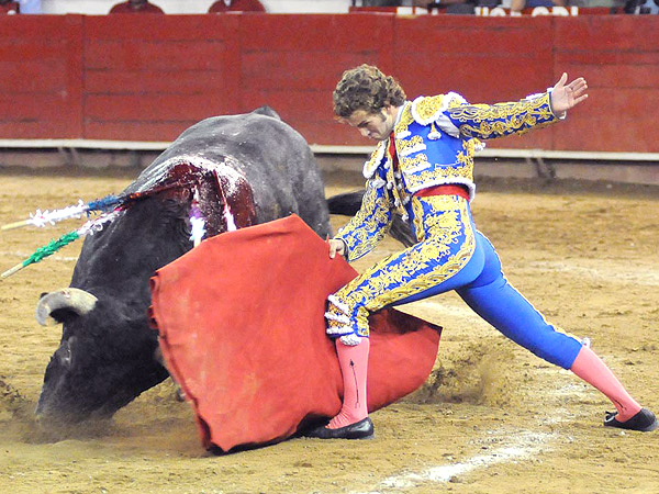 Torero dominio