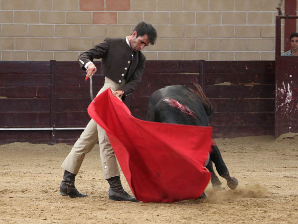 Filigranas de franela