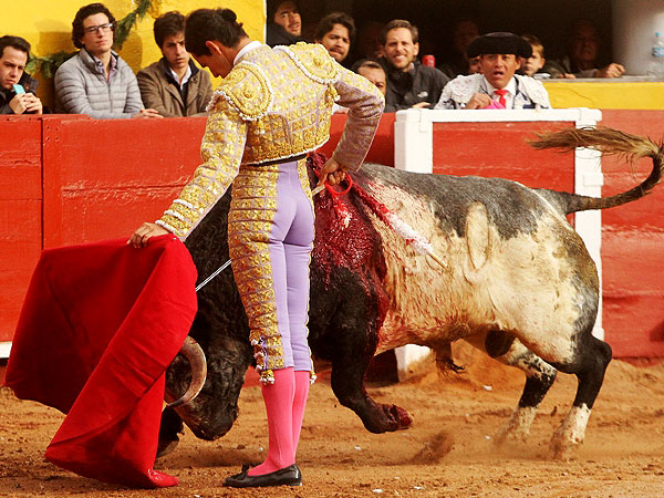 Calidad en la embestida