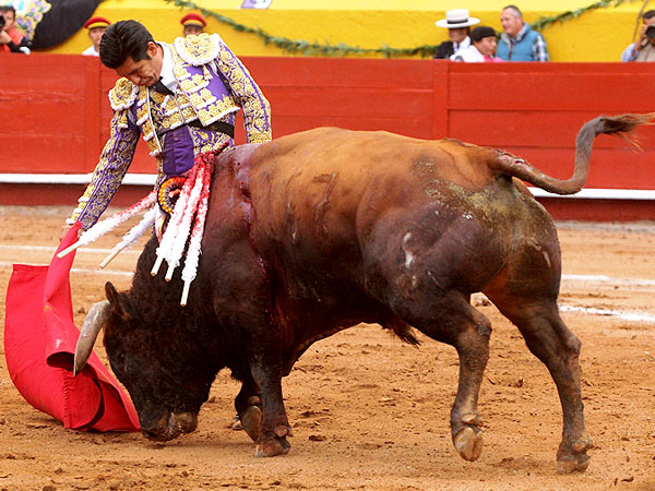 Asentada y sobria faena