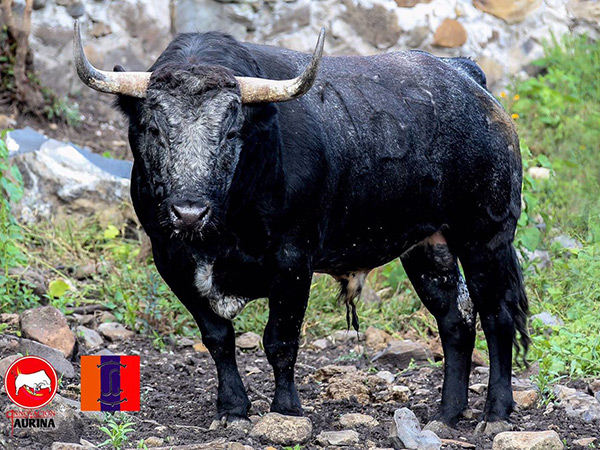 No. 152, de La Venta de Romero