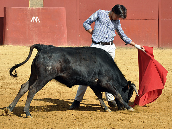 Asentado en otro largo natural