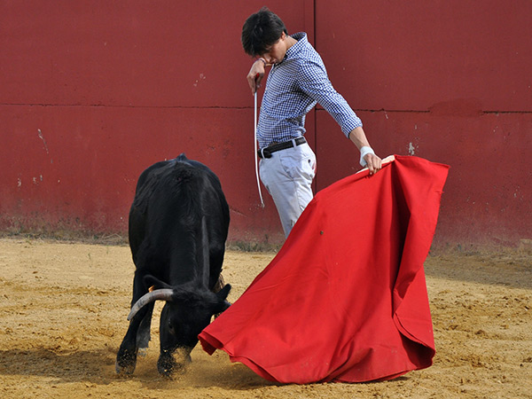 En el inicio de otra faena