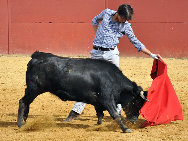 Sometiendo la embestida