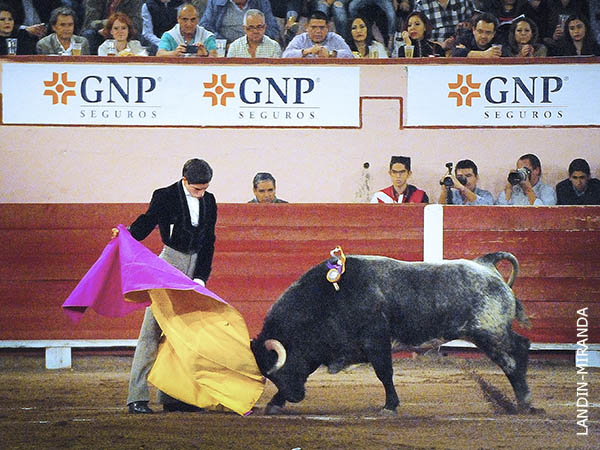 Ver�nicas de Armillita IV