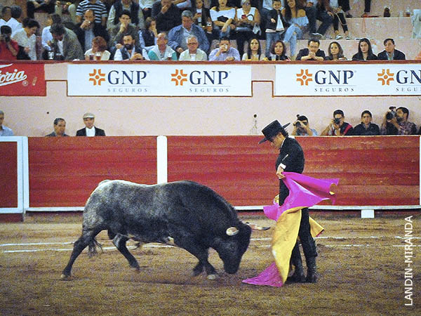 Chicuelinas en los medios