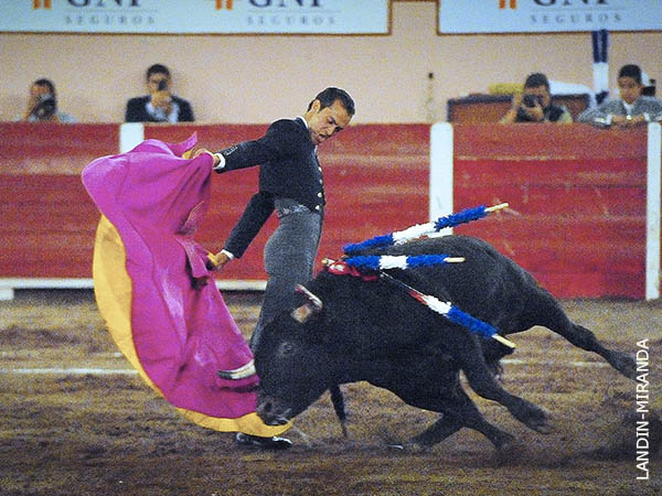 Las gaoneras de Leonardo Ibarra