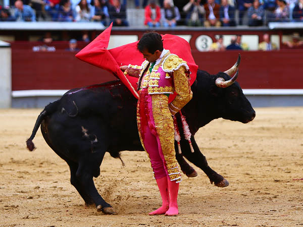 Verticalidad en las manoletinas