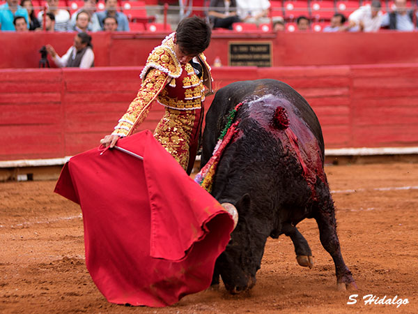 Dejando buen ambiente