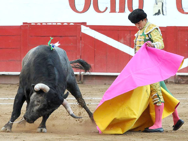 Adame, bien plantado