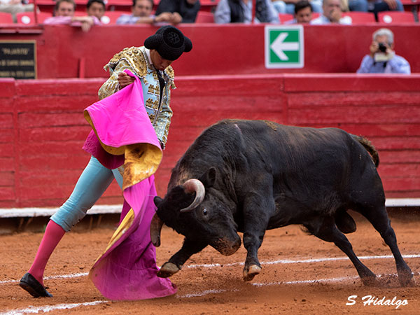 Saludando a su primero