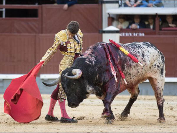 Bella l�mina del ejemplar