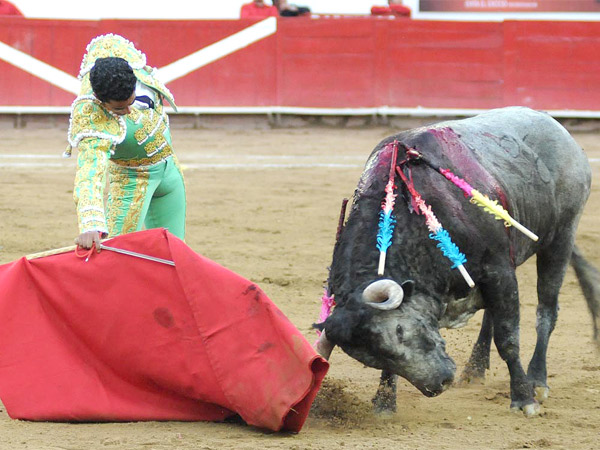 Mandando en el viaje