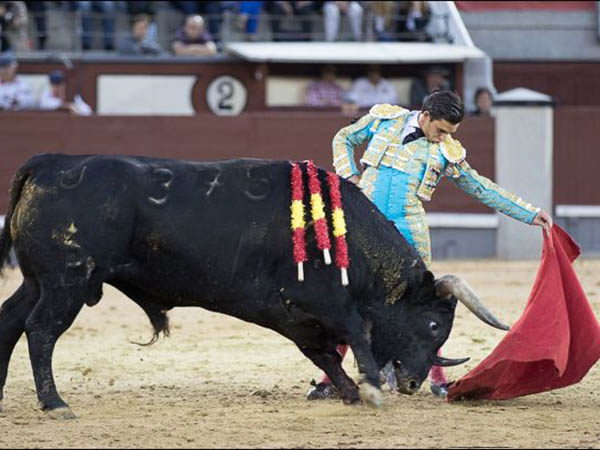 Extensi�n al natural