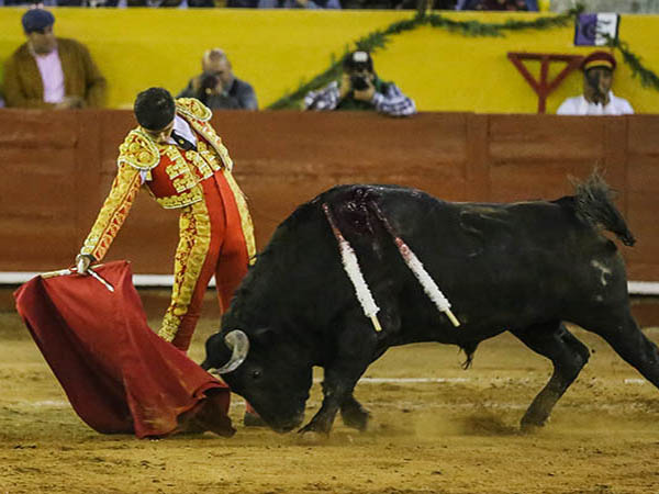 Estren� su alternativa