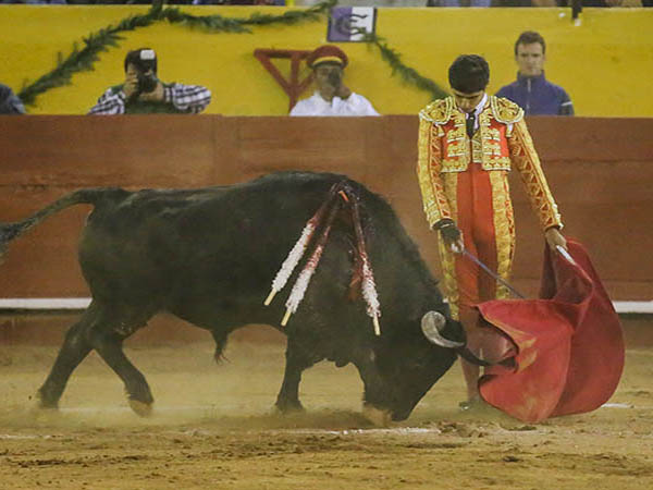 Momentos de buen toreo