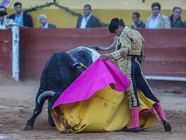 Muy quieto, a la ver�nica