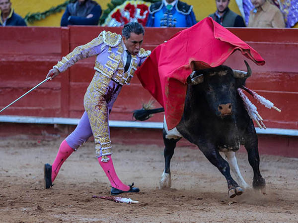 Adornos de acusado ritmo