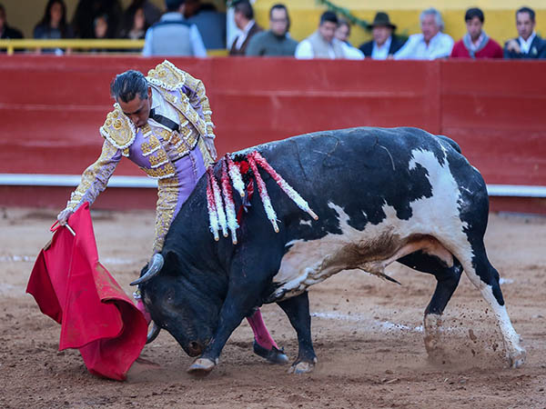 Enorme calado en el p�blico