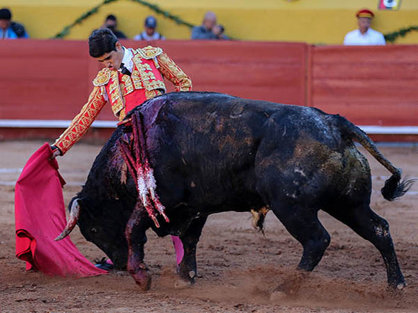 El p�blico le alent� siempre