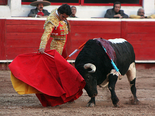 Lo lleva toreado