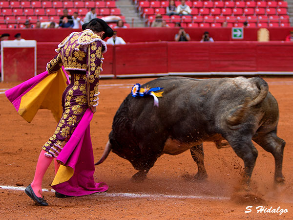 Calando en el gusto de la afici�n