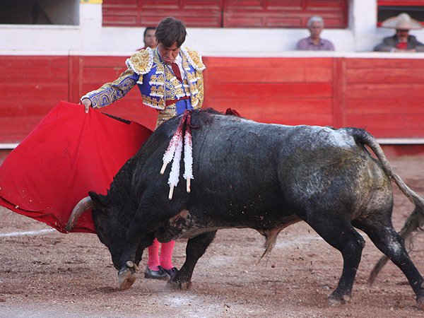 Muy quieto remat� su faena