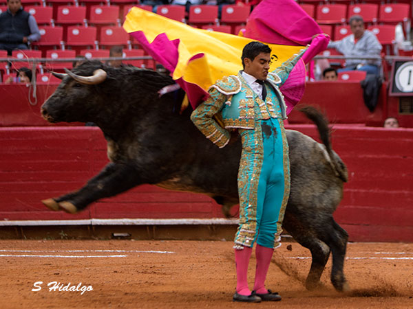 Aguantando la embestida